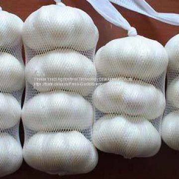 Fresh White Garlic photo-2