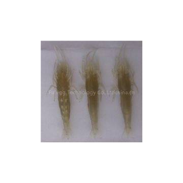 Shrimp Fishing Lures