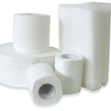 Hygienic Custom Hardwound Sanitary Tissue Paper Soft