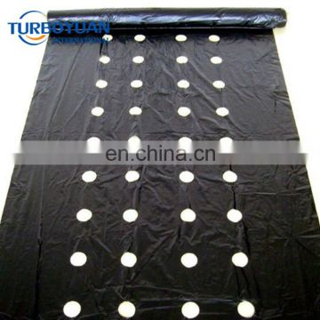 black polyethylene perforated plastic mulching film for agriculture