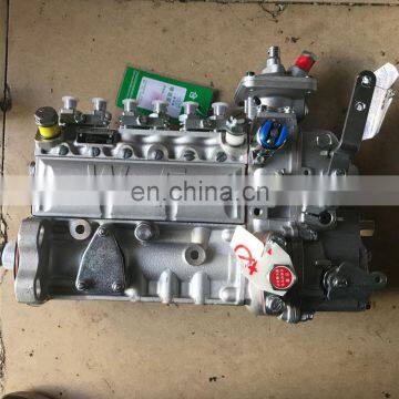 Weifu Injection Pump 4944883 6A156