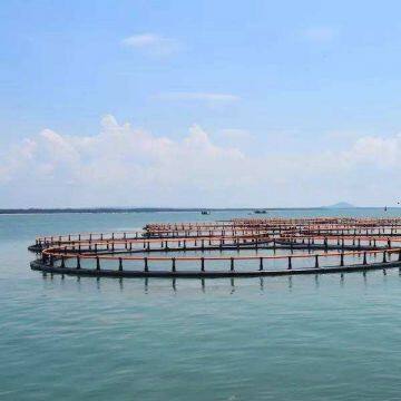 Square Floating Aquaculture Fishing Cage Fish Cage Farming