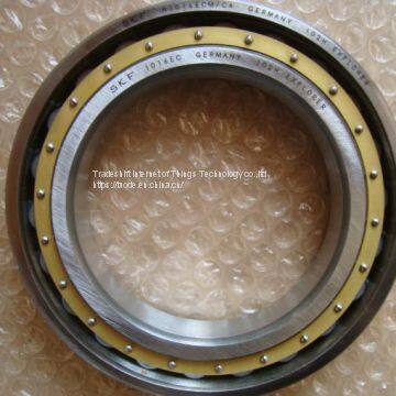 Full Complement C4 Single Row Spherical Roller Bearing