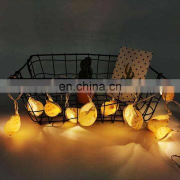 2020 Hot Selling Battery Powered LED Fairy Conch Decorative String Light