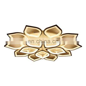 2018 New Products Creative Living Room Lamp 6/8/12 Head Warm Modern Flush Mount LED Ceiling Lamp With Remote Control photo-7