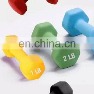 Colorful vinyl hex dumbbell home fitness equipment free weight dumbbell set plastic dip dumbbell