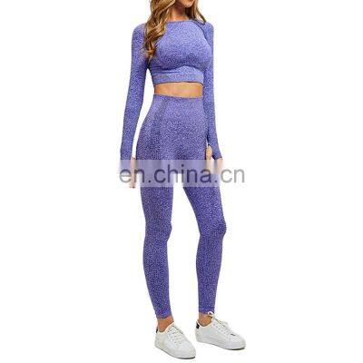 Women 2 Pieces Gym Fitness Sets Sports Bra Legging Yoga Set Ladies Athletic Wear Long Sleeve Yoga Sets