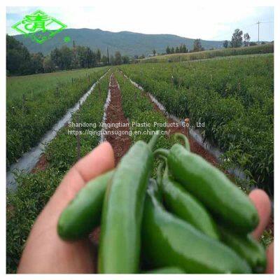 3 Layers Agricultural Plastic Black/White Mulch Film photo-2