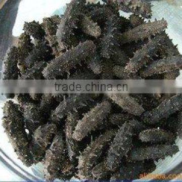 2016 PRICED Wholesale dry sea cucumber