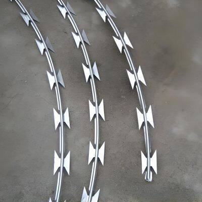 Stainless Steel Razor Barbed Wire Mesh Roll Double Coil Concertina Wire for Boundary Fencing photo-4