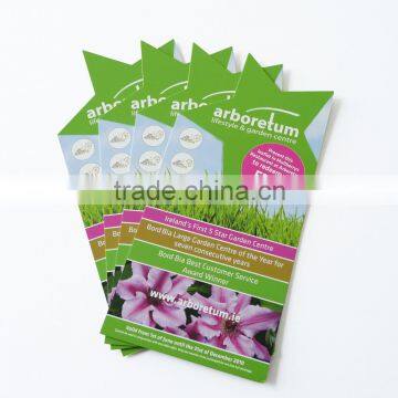 Leaflets, Butterfly ad High Quality With Design Well Aces