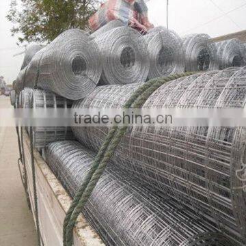 Hot dipped galvanzied welded wire netting