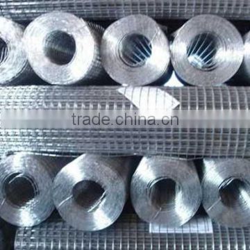 Galvanized welded wire mesh factory direct sale