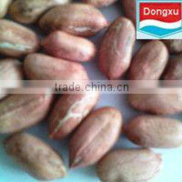 groundnut kernels peanuts