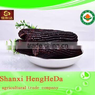 China Supplier as Gift for Child Yellow Waxy Corn photo-6