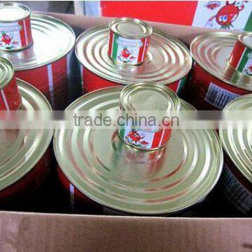 Health food canned tomato paste with double concentrated