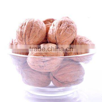 Organic Raw Walnuts in Shell and Without Shell Kernels
