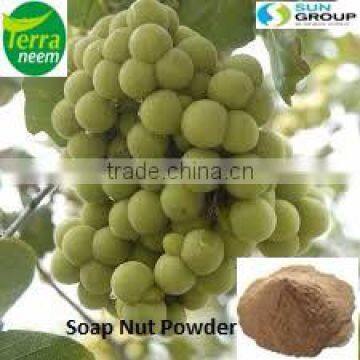 Natural Soapnut Powder