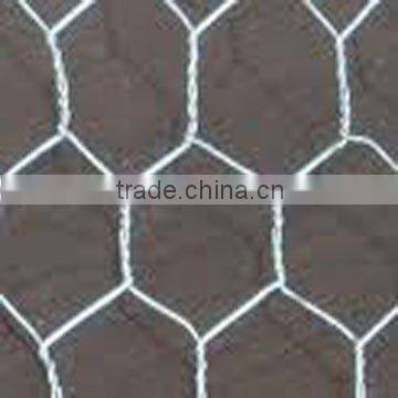 Hexagonal wire mesh (PVC coated wire)