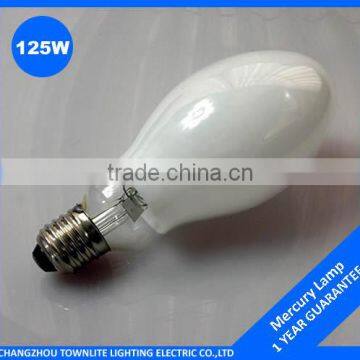 hpmv 125w bulb