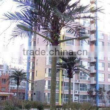 Coconut palm tree street light