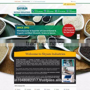 Mini Website Designer photo-2