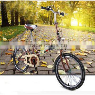 20 inch retro folding bike carbon steel single speed lady folding bike