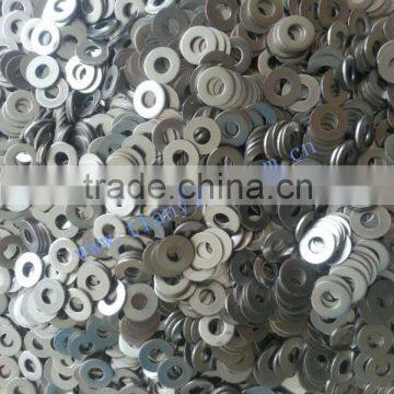 Stainless Steel Special Washer