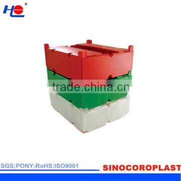 Corrugated Fruit Carton