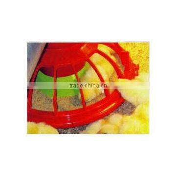 broiler feed line