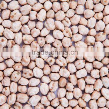 12mm chickpeas