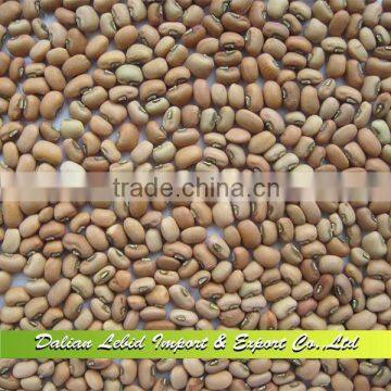 New Crop Chinese Pink Cowpeas,Vigna Beans 2016 Crop