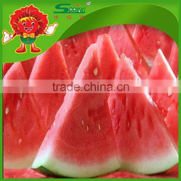 wholesale watermelon from watermelon farming base