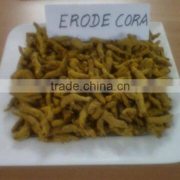 Excellent Grade & Quality Indian Turmeric Finger photo-3