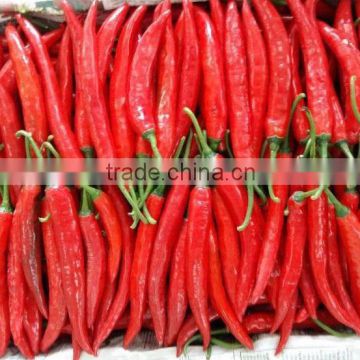 DALAT FRESH RED CHIILI