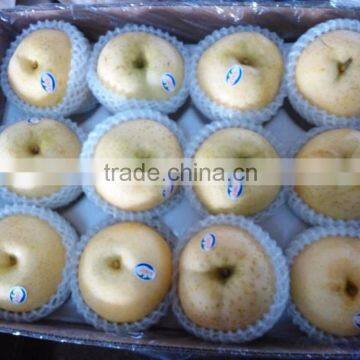 Fresh Pear 2016 Crop photo-5