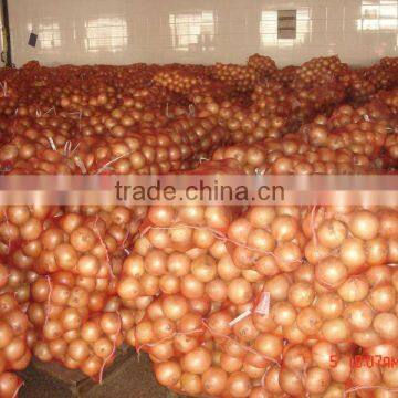 Non-peeled fresh yellow onion 5-7cm