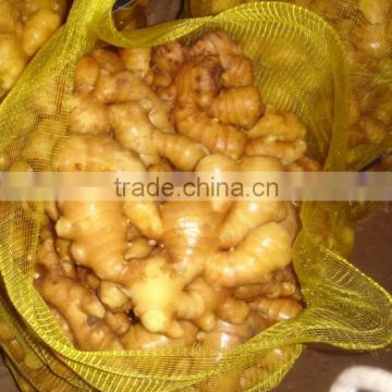 Hot sale competitive price new harvested air dried ginger