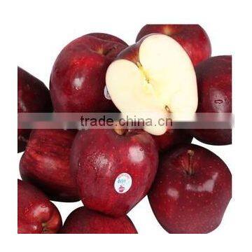 2016 fresh huaniu apple fruit with high quality for sale