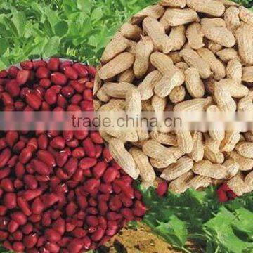 Wholesale Hot Selling Products Export Products Organic Salted Fried Peanuts With Red Skin photo-3