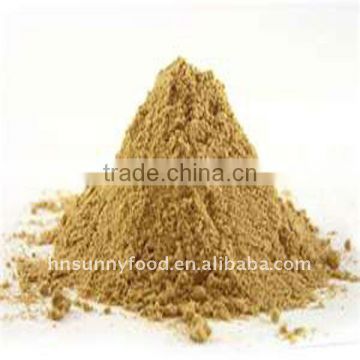 Lower Price China Ginger Powder