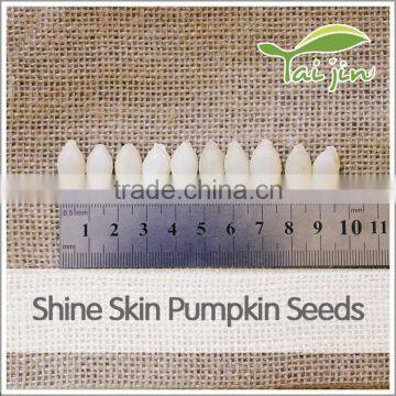 Chinese High Quality Pepitas Pumpkin Seeds photo-3
