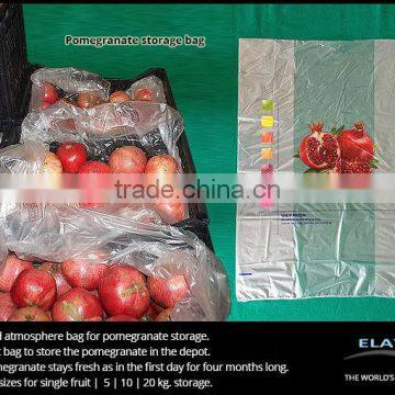 Grapes Protecting Bags photo-5