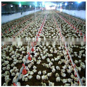 Poultry Farming Automatic Feeding System Manufacturer In China/auger Feed System photo-2