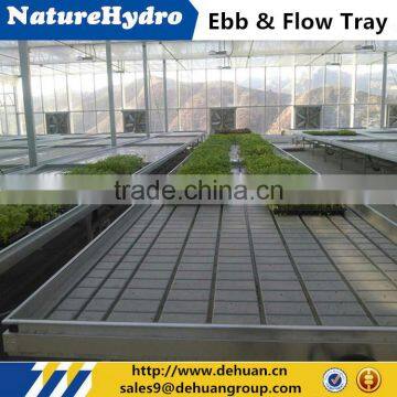 Greenhouse plastic tray plastice seedling tray