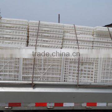 Plastic Crates, Chicken Transport Crates, Plastic Chicken Crates photo-4