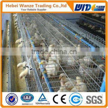 hot dipped galvanized 20 years lifetime layer chicken cages with Auto water system