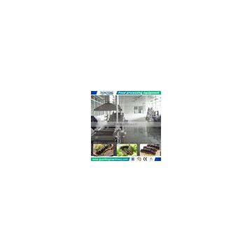 Food Machinery Manufacturer Sea Cucumber Processing Line photo-2