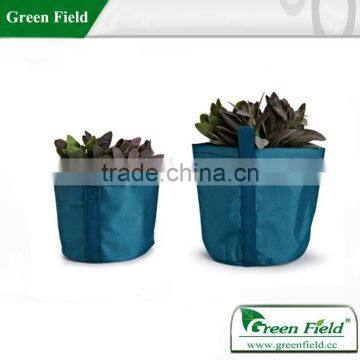 Green hanging garden herb garden planter pots