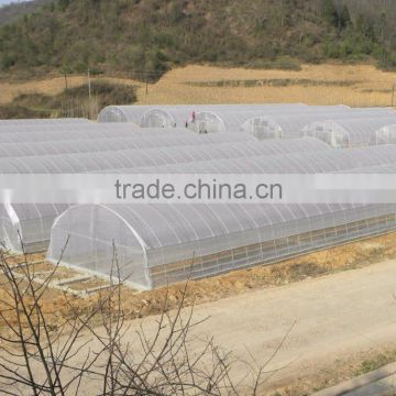 Hot sale poly tunnel greenhouse for sale